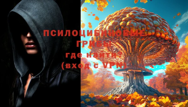 альфа пвп Нягань