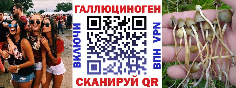 площадка телеграм  Алексеевка  Псилоцибиновые грибы прущие грибы  купить  цена 